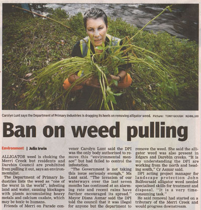 Weed Pulling article